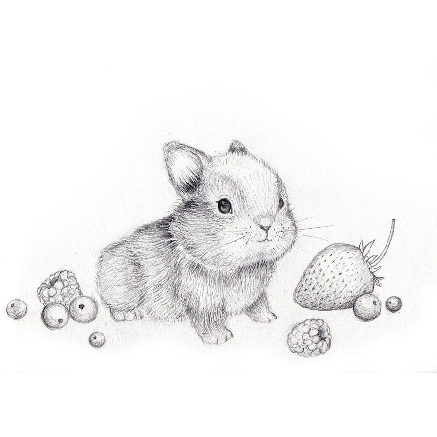 Bunny & Berries