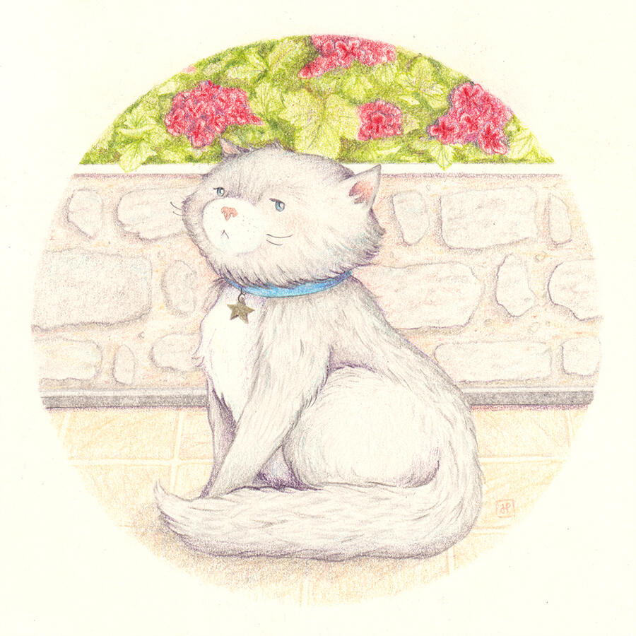 George the Cat